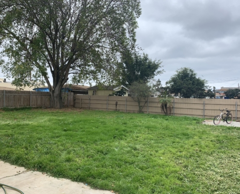 Backyard