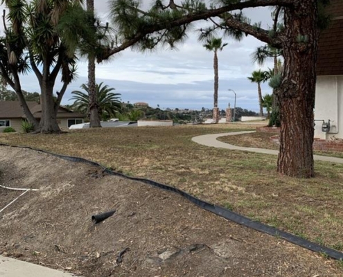 11f0739f-25d2-411e-95c9-f02703f5f71b A winding sidewalk passes trees and green grass beneath a cloudy sky, with houses and glimpses of the distant city in view.